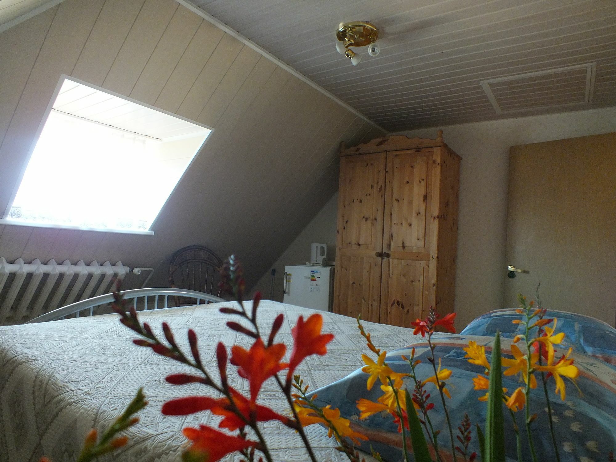 Villa Zveju 29 Palanga Eksteriør billede
